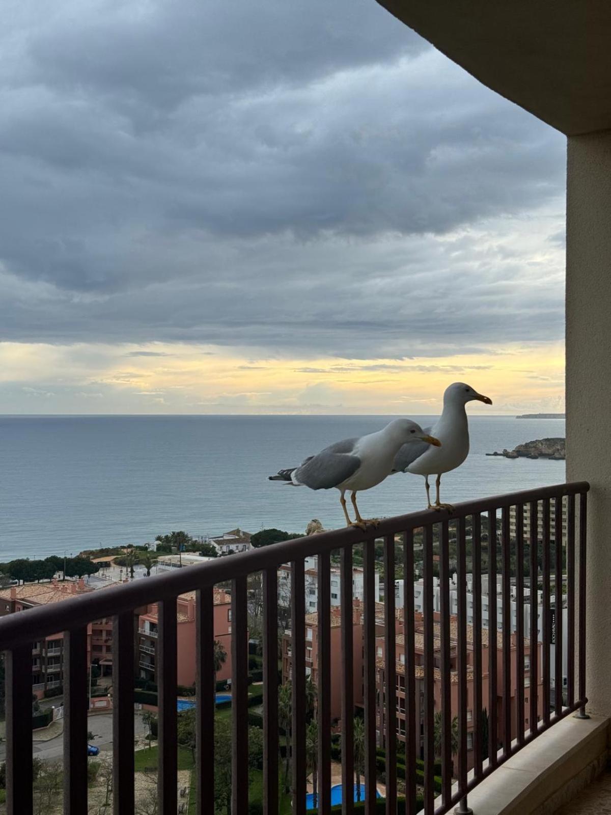Sofiamarholidays - Casa Praia Mar ปอร์ติเมา ภายนอก รูปภาพ
